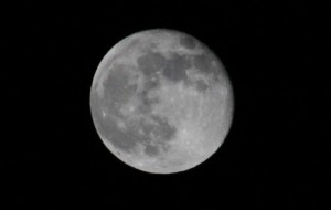 Vollmond